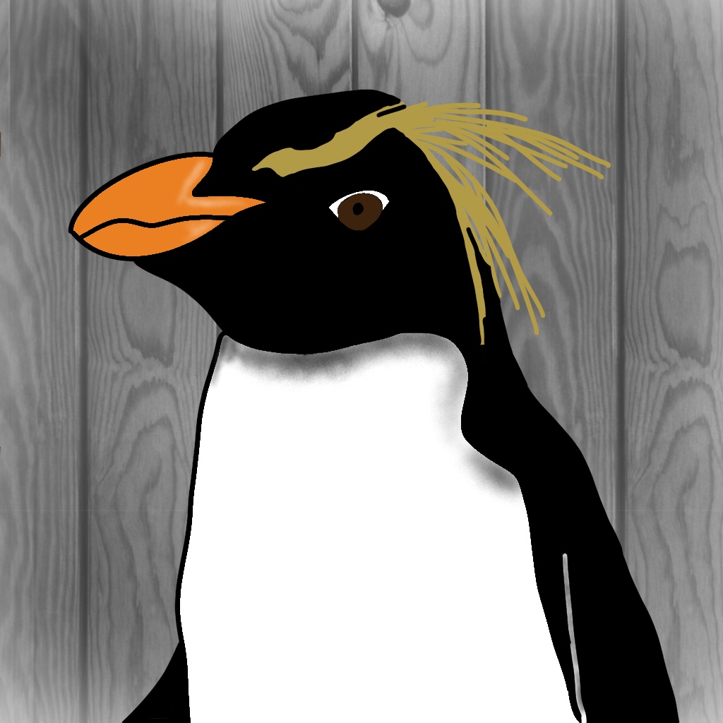Norman Penguin
